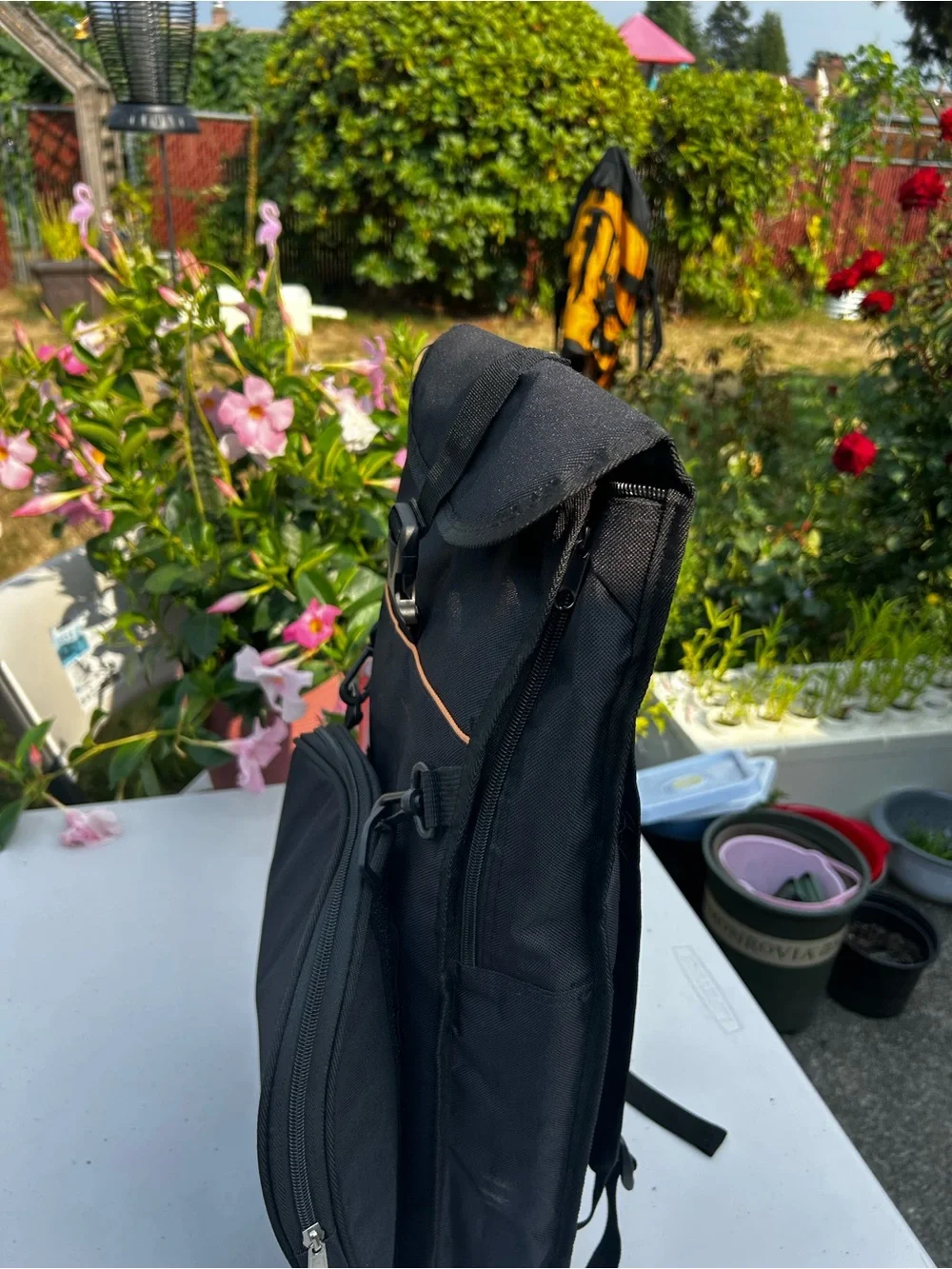 Growdsily durable black